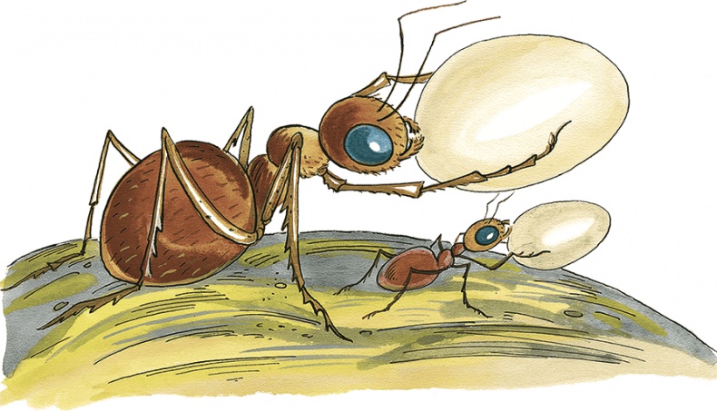 Иллюстрация к книге — Необыкновенные приключения Карика и Вали [i_057.jpg]