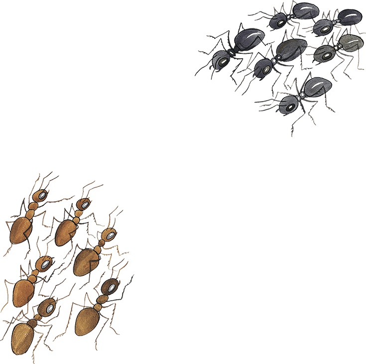 Иллюстрация к книге — Необыкновенные приключения Карика и Вали [i_058.jpg]