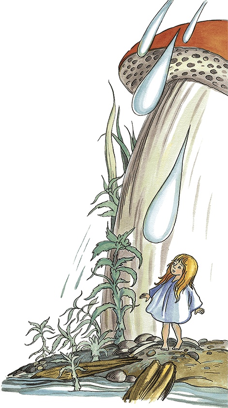 Иллюстрация к книге — Необыкновенные приключения Карика и Вали [i_060.jpg]