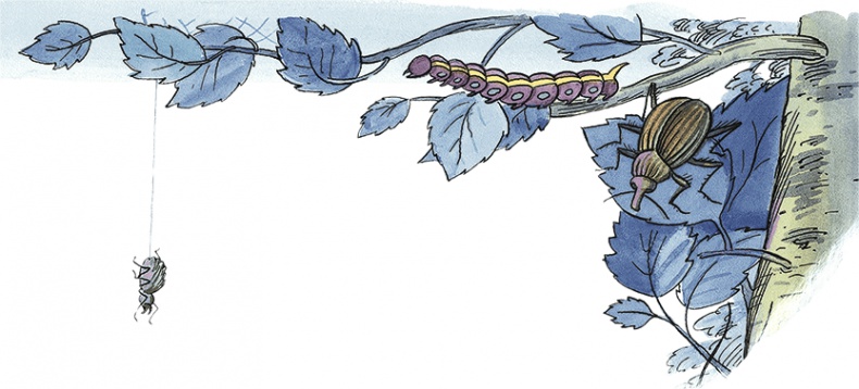 Иллюстрация к книге — Необыкновенные приключения Карика и Вали [i_063.jpg]