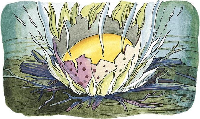 Иллюстрация к книге — Необыкновенные приключения Карика и Вали [i_068.jpg]