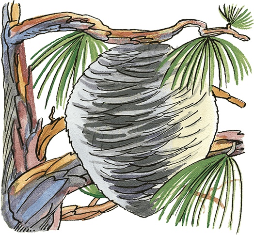 Иллюстрация к книге — Необыкновенные приключения Карика и Вали [i_074.jpg]