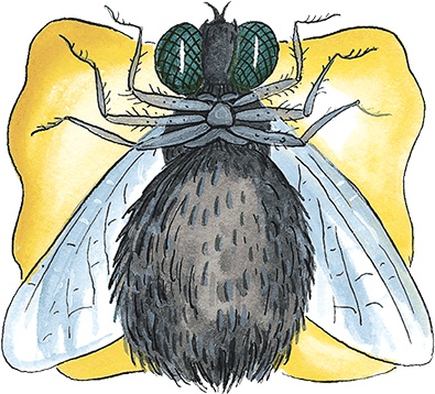 Иллюстрация к книге — Необыкновенные приключения Карика и Вали [i_093.jpg]