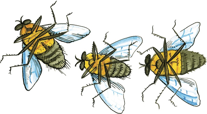 Иллюстрация к книге — Необыкновенные приключения Карика и Вали [i_094.jpg]