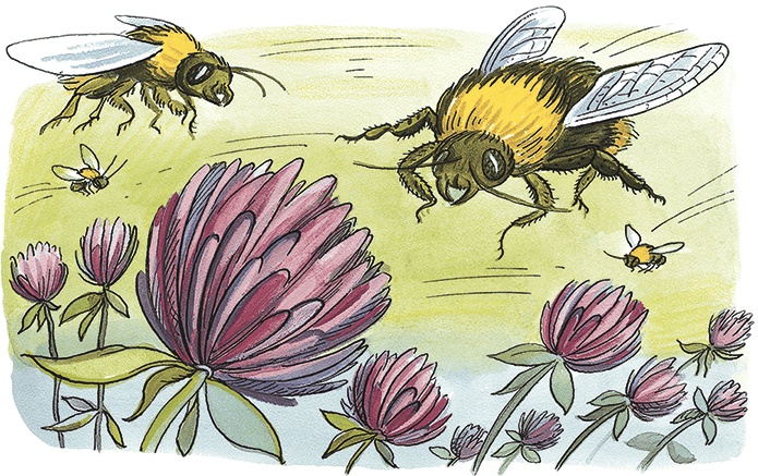 Иллюстрация к книге — Необыкновенные приключения Карика и Вали [i_099.jpg]