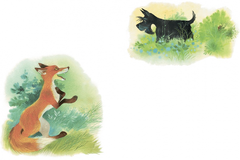 Иллюстрация к книге — Храбрый Тилли и другие истории [i_013.jpg]