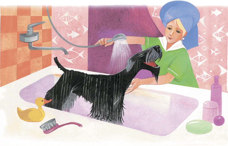 Иллюстрация к книге — Храбрый Тилли и другие истории [i_040.jpg]