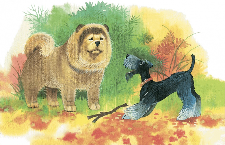 Иллюстрация к книге — Храбрый Тилли и другие истории [i_045.jpg]