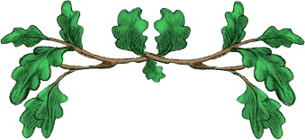 Иллюстрация к книге — Сказки Изумрудного Леса [i_007.jpg]