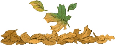 Иллюстрация к книге — Сказки Изумрудного Леса [i_040.jpg]