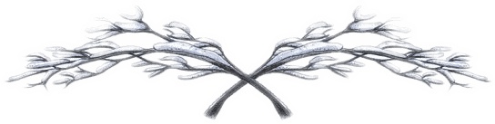 Иллюстрация к книге — Сказки Изумрудного Леса [i_053.jpg]