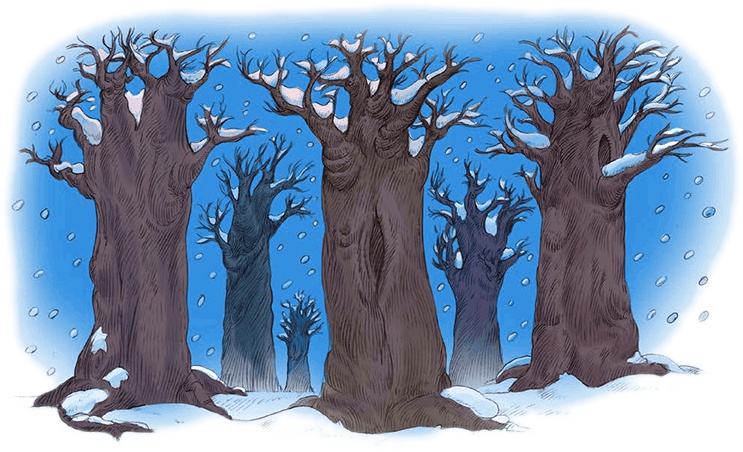 Иллюстрация к книге — Сказки Изумрудного Леса [i_059.jpg]