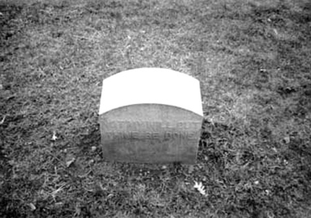 Иллюстрация к книге — Каждую минуту рождается еще один покупатель [i_009.jpg]