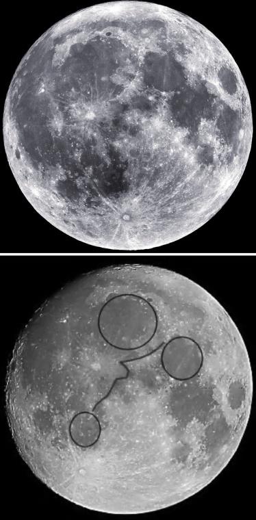 Иллюстрация к книге — Псевдонаука и паранормальные явления. Критический взгляд [i_024.jpg]