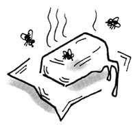 Иллюстрация к книге — Фитнес для ума [i_021.jpg]