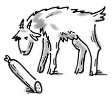 Иллюстрация к книге — Фитнес для ума [i_042.jpg]