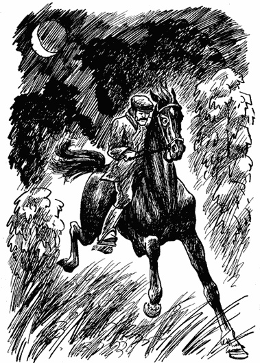 Иллюстрация к книге — Черный красавчик [i_006.jpg]