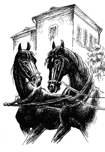 Иллюстрация к книге — Черный красавчик [i_008.jpg]