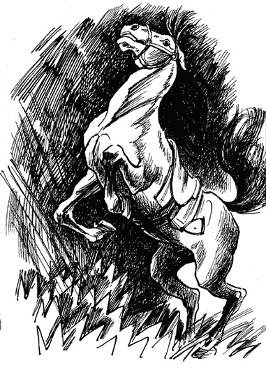 Иллюстрация к книге — Черный красавчик [i_009.jpg]