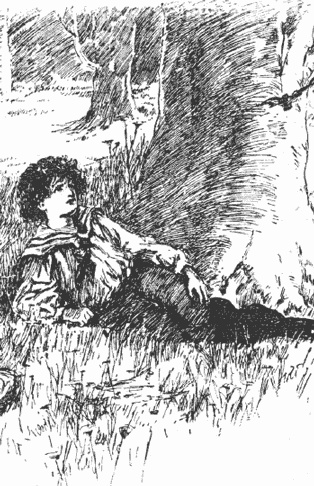 Иллюстрация к книге — Приемыш черной Туанетты [i_011.jpg]