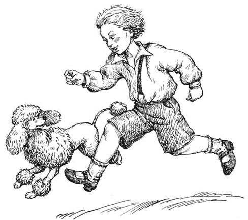 Иллюстрация к книге — Чудесное лето [i_001.jpg]