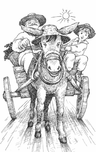 Иллюстрация к книге — Чудесное лето [i_012.jpg]