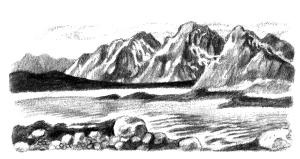 Иллюстрация к книге — Приключения маленькой трески [i_005.jpg]