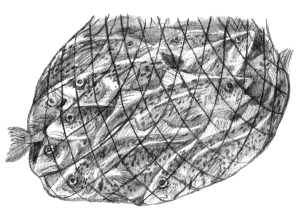 Иллюстрация к книге — Приключения маленькой трески [i_048.jpg]
