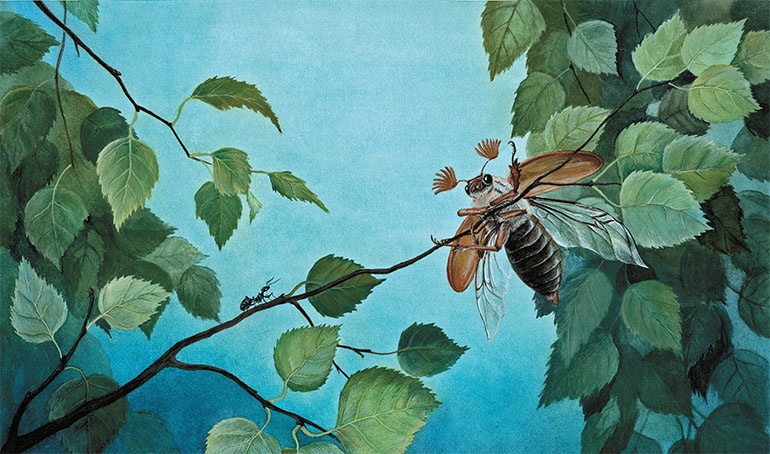 Иллюстрация к книге — Лесные разведчики [i_009.jpg]