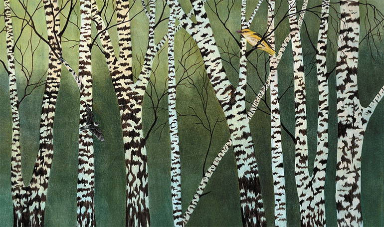 Иллюстрация к книге — Лесные разведчики [i_015.jpg]