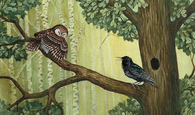 Иллюстрация к книге — Лесные разведчики [i_017.jpg]