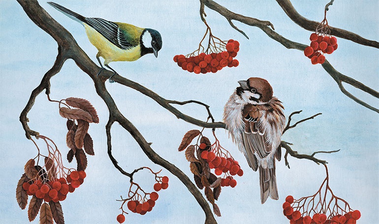 Иллюстрация к книге — Лесные разведчики [i_028.jpg]