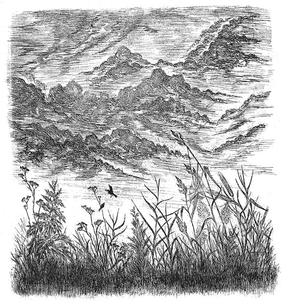 Иллюстрация к книге — Лесные разведчики [i_030.jpg]