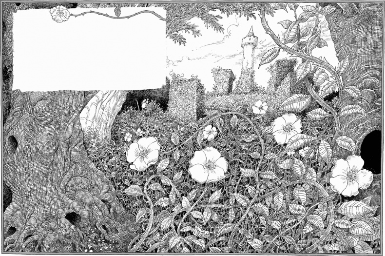 Иллюстрация к книге — Дева и веретено [i_014.jpg]