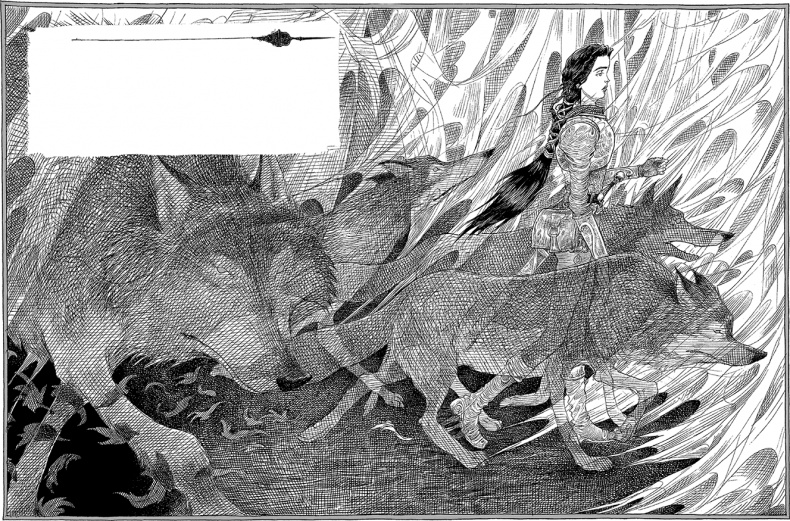 Иллюстрация к книге — Дева и веретено [i_019.jpg]