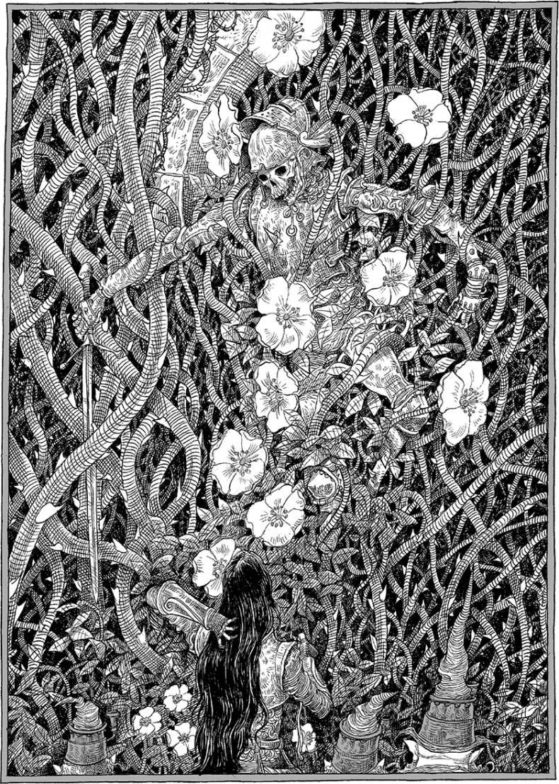 Иллюстрация к книге — Дева и веретено [i_020.jpg]