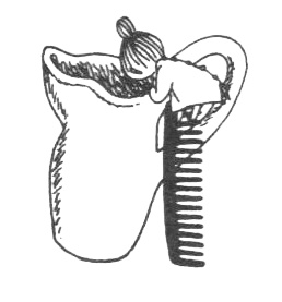 Иллюстрация к книге — Походная книга Муми-тролля [i_007.jpg]