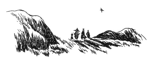 Иллюстрация к книге — Походная книга Муми-тролля [i_022.jpg]