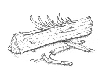 Иллюстрация к книге — Походная книга Муми-тролля [i_035.jpg]