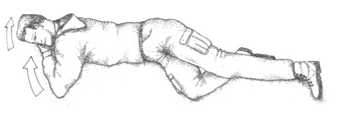 Иллюстрация к книге — Походная книга Муми-тролля [i_049.jpg]