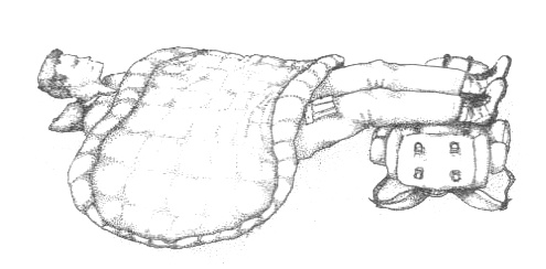 Иллюстрация к книге — Походная книга Муми-тролля [i_051.jpg]