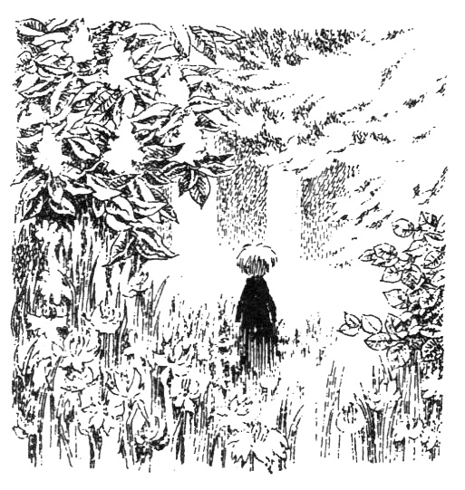 Иллюстрация к книге — Походная книга Муми-тролля [i_064.jpg]