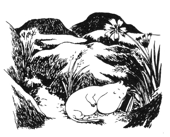 Иллюстрация к книге — Походная книга Муми-тролля [i_069.jpg]