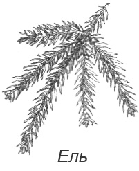 Иллюстрация к книге — Походная книга Муми-тролля [i_072.jpg]