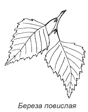 Иллюстрация к книге — Походная книга Муми-тролля [i_074.jpg]