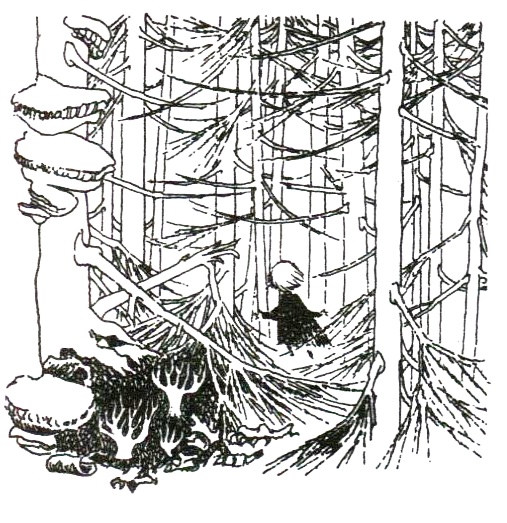 Иллюстрация к книге — Походная книга Муми-тролля [i_084.jpg]