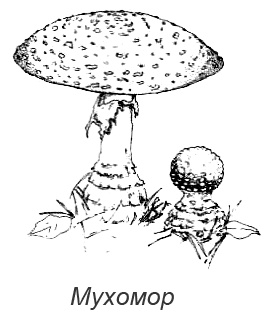 Иллюстрация к книге — Походная книга Муми-тролля [i_086.jpg]