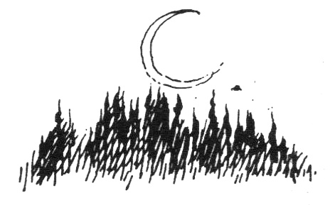 Иллюстрация к книге — Походная книга Муми-тролля [i_090.jpg]