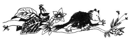 Иллюстрация к книге — Походная книга Муми-тролля [i_092.jpg]