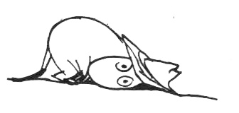 Иллюстрация к книге — Походная книга Муми-тролля [i_096.jpg]